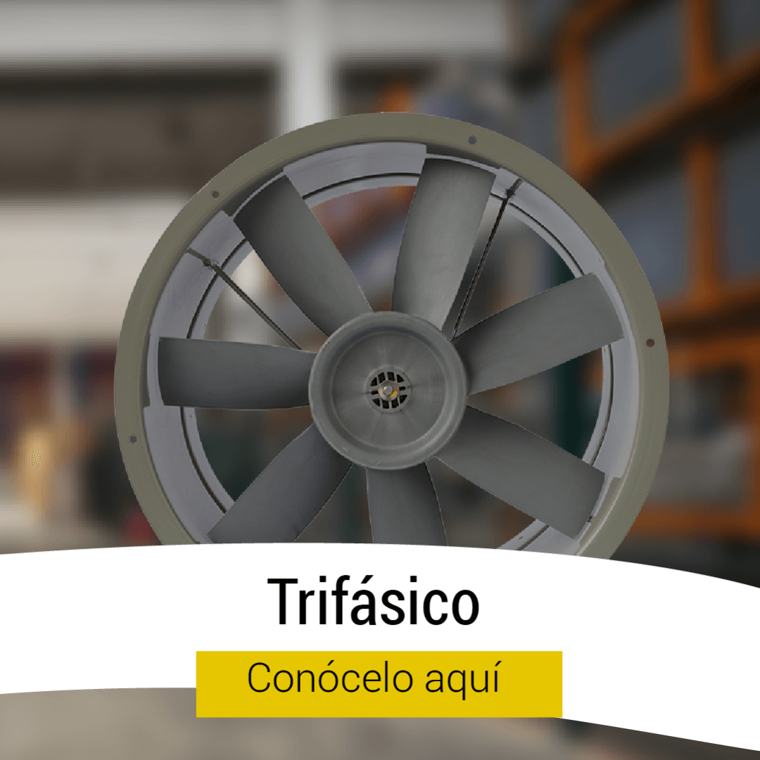 Trifasico