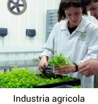 Industria agricola-100