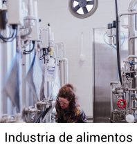 Industria alimentos-100