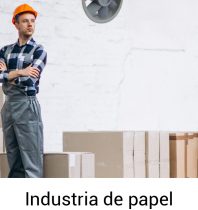 Industria de papel-100