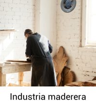 Industria maderera-100